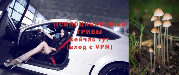 гашиш Вяземский