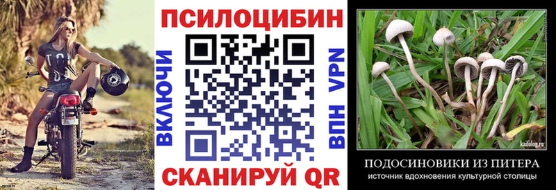 Псилоцибиновые грибы MAGIC MUSHROOMS  Купить закладки  Вичуга 